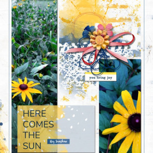 Lynn-Grieveson_2022-08_August_New_0819_Sunnyside_Lots-of-Pockets-This_web
