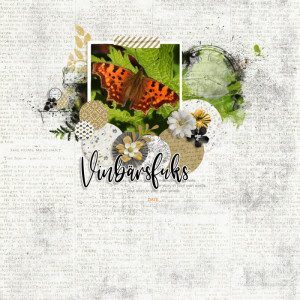 Vinbärsfuks