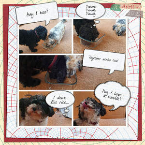 Yummy - If the dogs could talk...