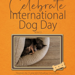 Celebrate-International-Dog-Day
