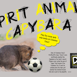 Spirit-Animal