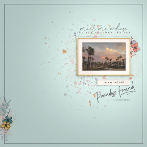 2017_12_Paradise Found