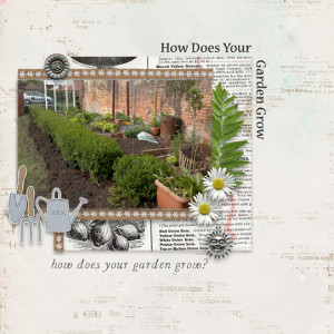 How Does Your Garden Grow