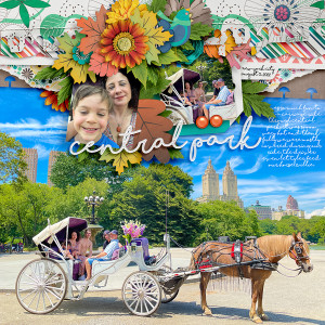 Central Park Carriage Ride