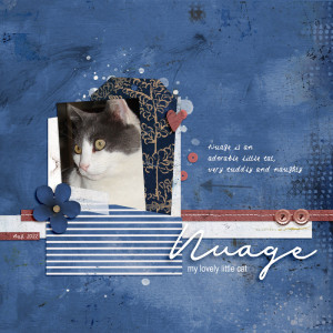 Nuage