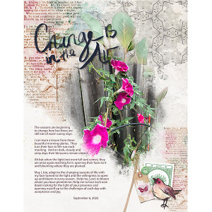Sep2022_PhotographyChall_Change_flowersgal_square_web