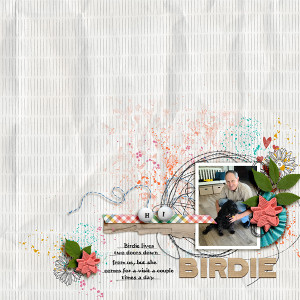 FF_sept9_AP_PRD_Birdie