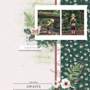 Adventure Awaits