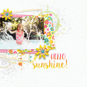 Fun In The Sun