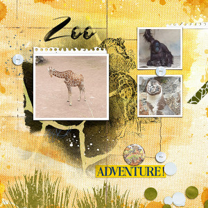 In the Zoo 1