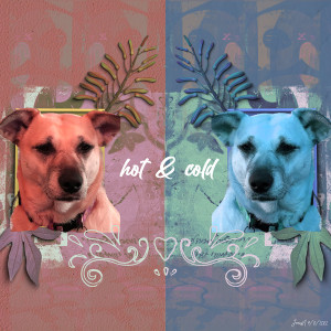 NBK_hot&cold