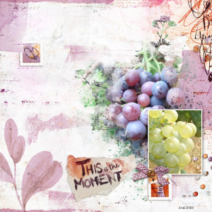 Grapes