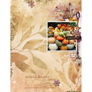Shades of Autumn