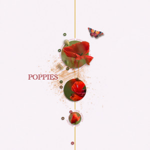 Poppies
