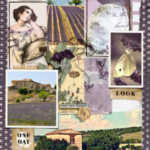 Lavender
