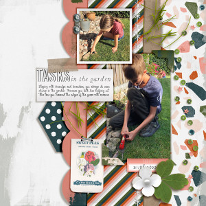 Tasks In The Garden