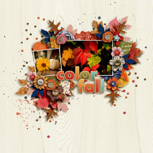 SOSN_sept21_FJ_FDD_ColorFall
