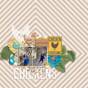 Chickens