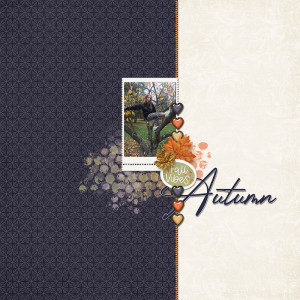 Fall Vibes