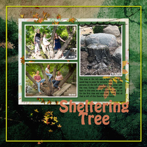 Sheltering_Tree