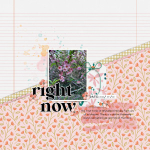2022-09-23_RightNow