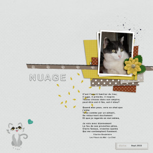 Nuage