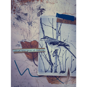 Farwen_RJefferiesCT_the pace of nature