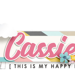 New Siggy