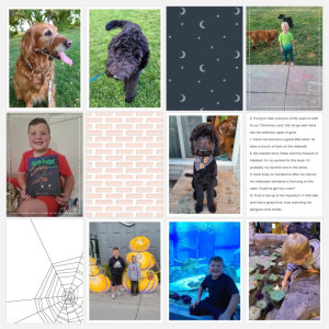 October 2021 pg 2