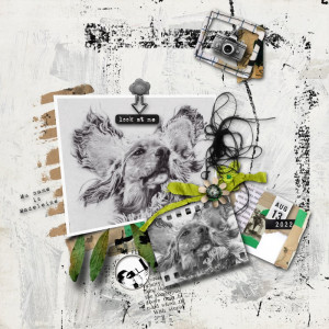 Rjefferies-pocketart13ter
