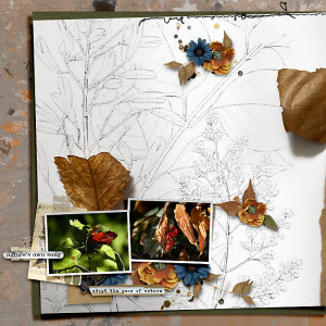 Colours of Fall