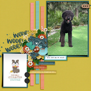 You Had me at Woof