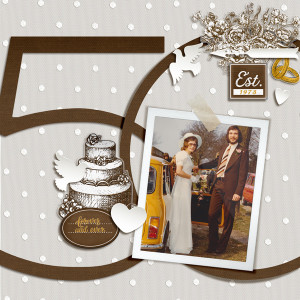 50th Wedding Anniversary (Coming Up)