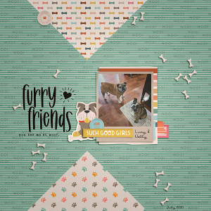 2020_6_Furry Friends