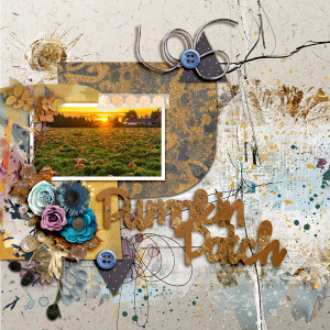 SOSN_oct5_JPD_SwL_Pumpkin Patch