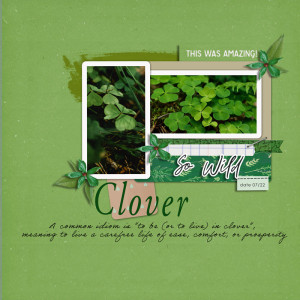 Ss103_clover