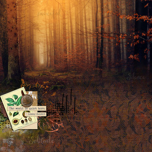 SOLITUDE