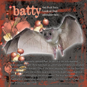 Batty For Fruit Bats.