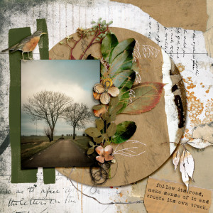 Earth - Muse-W1