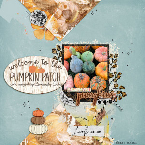 Pumpkin Patch 2022