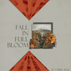 Fall In Full Bloom
