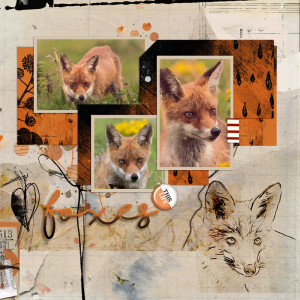 Foxes