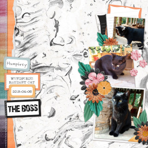 2019-04-06_TheBoss