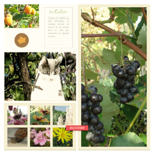 Octobre dans le jardin