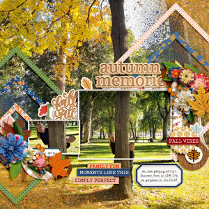 2018_10_Autumn Memories