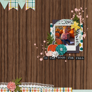 In The Mood For Fall