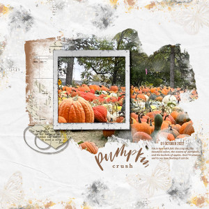 Pumpkin-Crush