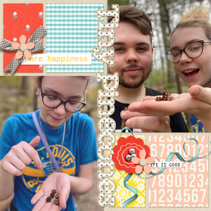 Tiny Pinecones