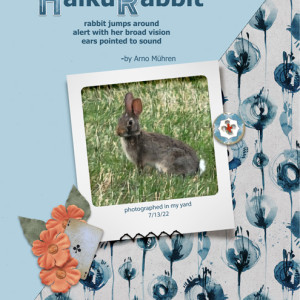 Haiku-Rabbit