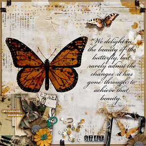 Butterflies